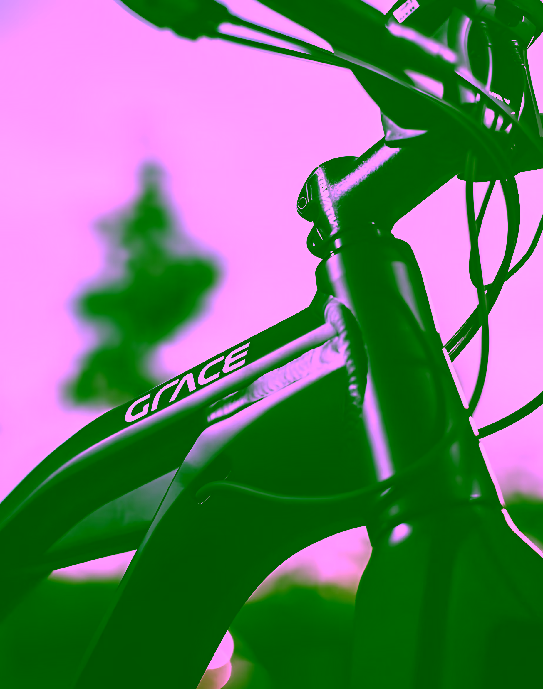 Grace MX2